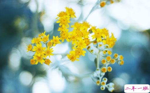 最美好的爱情说说大全 简单幸福说说心情短语1