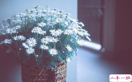 最美好的爱情说说大全 简单幸福说说心情短语2