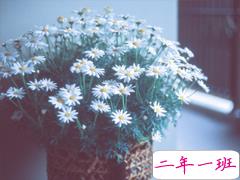 最美好的爱情说说大全 简单幸福说说心情短语