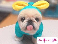 热门搞笑幽默说说句子 适合发动态的幽默句子