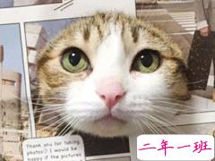 快手搞笑有趣句子合集 别跟我谈感情多伤钱啊