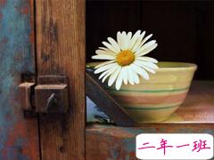 忘不了一个人的说说伤感泪目 一想到你我就泪流不止的说说