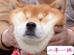 朋友圈沙雕文案2020 超级皮笑死人的说说