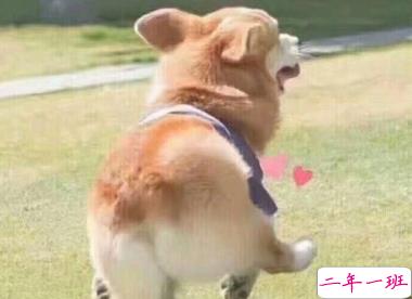 抖音沙雕文案搞笑句子 别急听我狡辩1