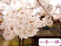 恋爱中写给对象看的说说 2019最流行的情侣间情话真实浪漫