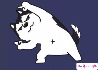 皮到没朋友的搞笑说说越短越好 看了心情变好的搞笑语录1