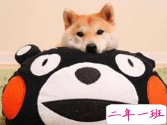 朋友圈搞笑创意文案 超短搞笑句子大全2020