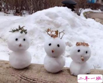 冬天下雪朋友圈说说搞笑大全 下雪天搞笑句子吸引人1