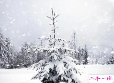 冬天下雪朋友圈说说搞笑大全 下雪天搞笑句子吸引人2