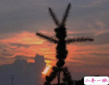 天冷幽默说说大全2019 冬天来了的微信说说好冷1