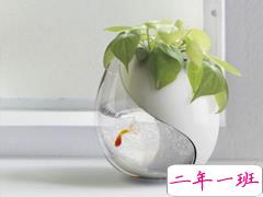 2019新年说说表白大全 新年表白男朋友的情话合集