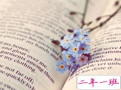 2019最真挚走心的爱情说说 让人感动泪目的情话合集