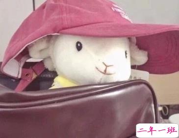 沙雕女孩发朋友圈的说说 送给大家的欢乐源泉1