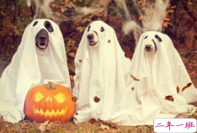2019万圣节朋友圈文案 万圣节说说有趣搞怪1