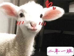 沙雕女孩发朋友圈的说说 送给大家的欢乐源泉