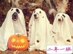 2019万圣节朋友圈文案 万圣节说说有趣搞怪