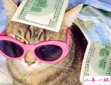 十分沙雕的搞笑说说大全 爆笑简短朋友圈说说2