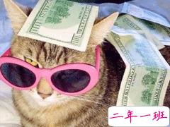 十分沙雕的搞笑说说大全 爆笑简短朋友圈说说