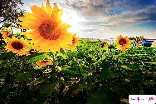 适合公布恋情的唯美说说 朋友圈秀恩爱的说说大全1