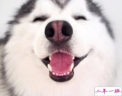 沙雕又可爱的朋友圈文案 没回消息是在修巴黎圣母院吗2