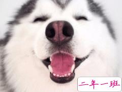 沙雕又可爱的朋友圈文案 没回消息是在修巴黎圣母院吗