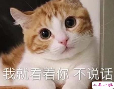 发自拍的搞笑说说 戳中你笑点的幽默句子2