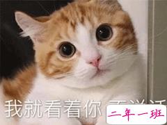 发自拍的搞笑说说 戳中你笑点的幽默句子