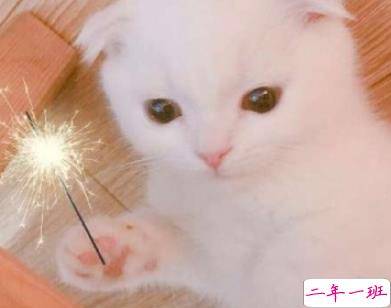 qq扩列宣言可爱搞笑大全 让人爆笑的扩列说说2