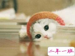 qq扩列宣言可爱搞笑大全 让人爆笑的扩列说说