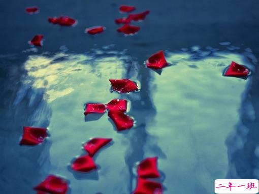 放不下一个人的说说内心难受 心里住着一个不可能的人说说1