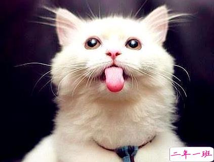 搞笑金句大全简短 人见人笑的幽默句子2