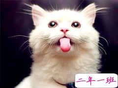 搞笑金句大全简短 人见人笑的幽默句子