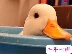 礼貌骂人说说霸气简短 经典不失礼貌骂人的话