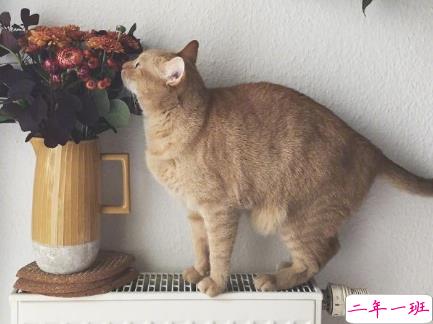 抖音搞笑有趣的晚安短句 晚安爆笑句子说说大全1