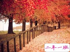 简单一句话爱情说说心情短语 2019发朋友圈的经典爱情说说