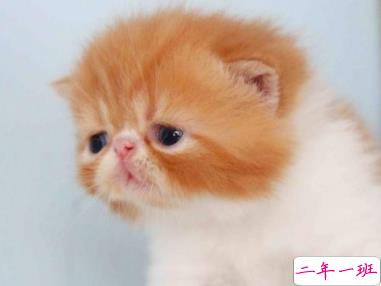 微信搞笑说说幽默精辟 瞬间笑开怀的说说大全1