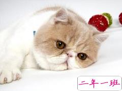 微信搞笑说说幽默精辟 瞬间笑开怀的说说大全