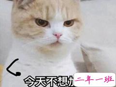 抖音最雷人搞笑的句子 笑到停不下来的说说