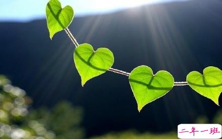 关于爱情很精辟很有哲理的一句话说说 既现实又有道理的爱情说说大全3