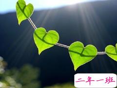 关于爱情很精辟很有哲理的一句话说说 既现实又有道理的爱情说说大全