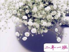 甜到炸的爱情小情话说说大全 很甜很暖心的爱情说说