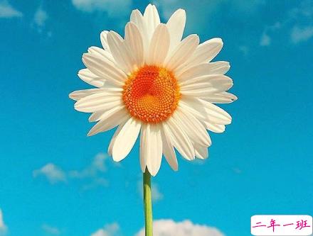 对爱情彻底死心的伤感说说2018 一句话让人瞬间落泪的爱情说说1