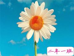 对爱情彻底死心的伤感说说2018 一句话让人瞬间落泪的爱情说说