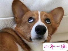 2019五一幽默搞笑说说大全 五一来了可是我的钱包还没准备好