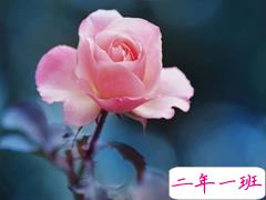 爱情说说发自肺腑的真实感受 触动心弦的简单爱情说说