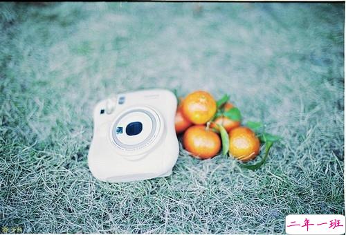 爱情里的伤痛让我们成长的爱情说说 学会怎么去爱的爱情说说1