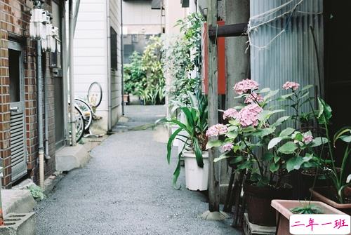 2019元宵节发朋友圈的搞笑说说大全 有创意不一样的元宵节说说1