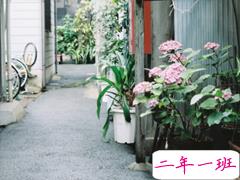 2019元宵节发朋友圈的搞笑说说大全 有创意不一样的元宵节说说