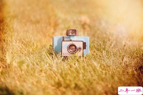 一句话来证明你是单身狗 2019最新单身狗专属搞笑说说1