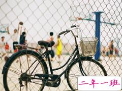 一句话来证明你是单身狗 2019最新单身狗专属搞笑说说